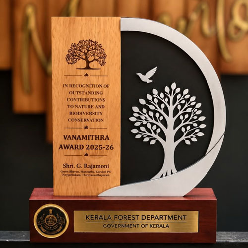 Wooden Momento