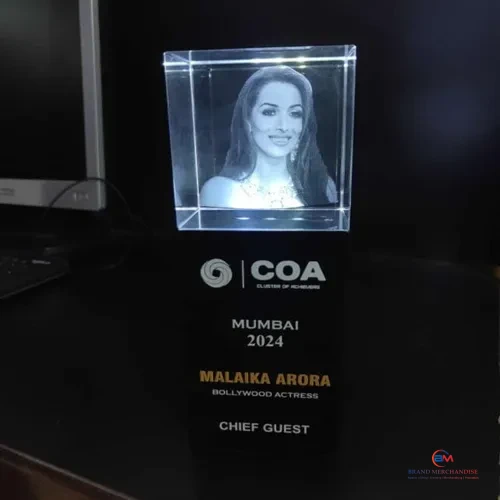 Crystal led light momento